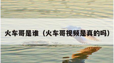 火车哥是谁（火车哥视频是真的吗）