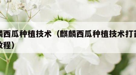 麒麟西瓜种植技术（麒麟西瓜种植技术打苗视频教程）