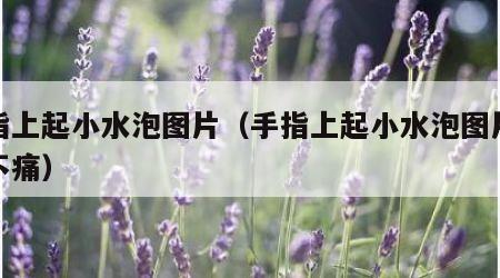 手指上起小水泡图片（手指上起小水泡图片不痒不痛）