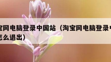 淘宝网电脑登录中国站（淘宝网电脑登录中国站怎么退出）