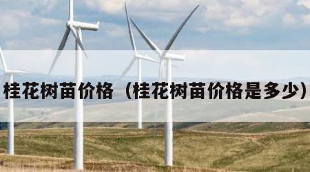 桂花树苗价格（桂花树苗价格是多少）