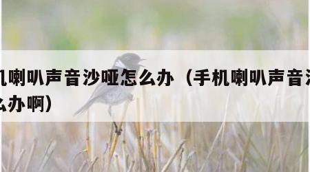 手机喇叭声音沙哑怎么办（手机喇叭声音沙哑怎么办啊）