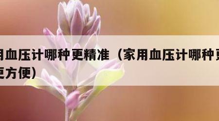 家用血压计哪种更精准（家用血压计哪种更精准更方便）