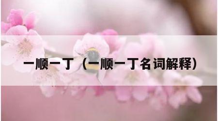 一顺一丁（一顺一丁名词解释）
