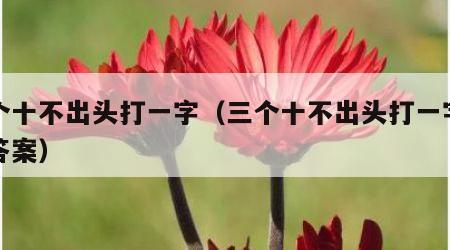 三个十不出头打一字（三个十不出头打一字谜底答案）