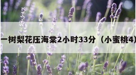 一树梨花压海棠2小时33分（小蜜桃4）