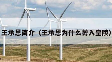 王承恩简介（王承恩为什么葬入皇陵）