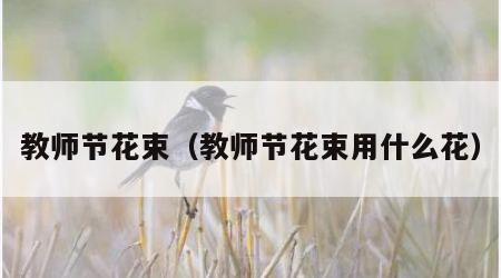 教师节花束（教师节花束用什么花）