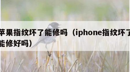 苹果指纹坏了能修吗（iphone指纹坏了能修好吗）