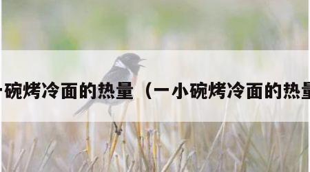 一碗烤冷面的热量（一小碗烤冷面的热量）