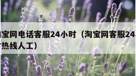 淘宝网电话客服24小时（淘宝网客服24小时热线人工）