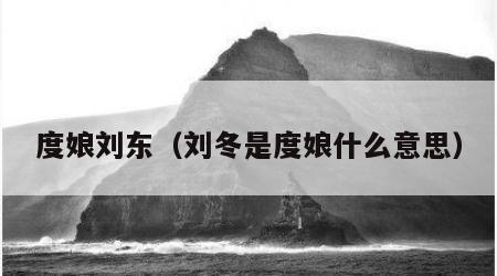 度娘刘东（刘冬是度娘什么意思）
