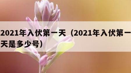 2021年入伏第一天（2021年入伏第一天是多少号）