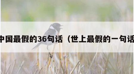 中国最假的36句话（世上最假的一句话）