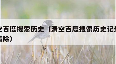 清空百度搜索历史（清空百度搜索历史记录全部清除）