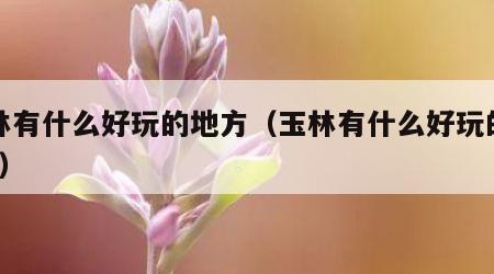 玉林有什么好玩的地方（玉林有什么好玩的地方?）
