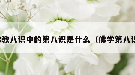 佛教八识中的第八识是什么（佛学第八识）