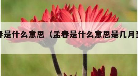 孟春是什么意思（孟春是什么意思是几月到几月）