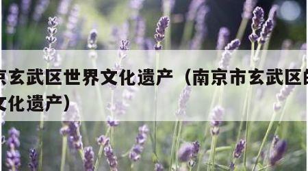 南京玄武区世界文化遗产（南京市玄武区的世界文化遗产）