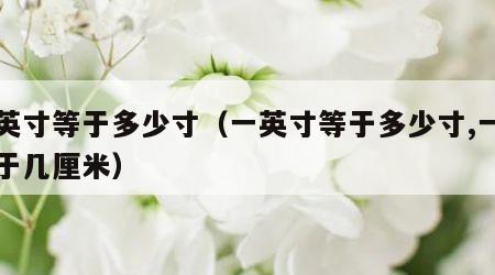 一英寸等于多少寸（一英寸等于多少寸,一寸等于几厘米）