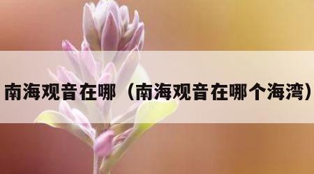 南海观音在哪（南海观音在哪个海湾）