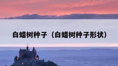 白蜡树种子（白蜡树种子形状）