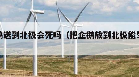 企鹅送到北极会死吗（把企鹅放到北极能生存吗）