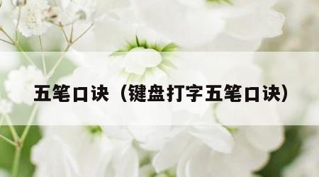 五笔口诀（键盘打字五笔口诀）