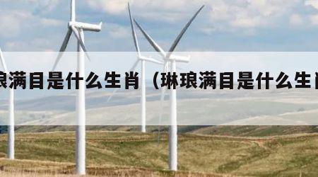 琳琅满目是什么生肖（琳琅满目是什么生肖鼠）