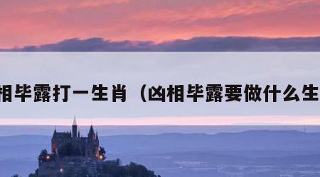 凶相毕露打一生肖（凶相毕露要做什么生肖）