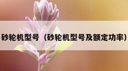 砂轮机型号（砂轮机型号及额定功率）