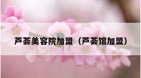 芦荟美容院加盟（芦荟馆加盟）