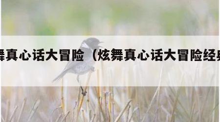 炫舞真心话大冒险（炫舞真心话大冒险经典问题）