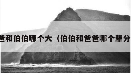 爸爸和伯伯哪个大（伯伯和爸爸哪个辈分大）