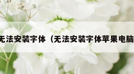 无法安装字体（无法安装字体苹果电脑）