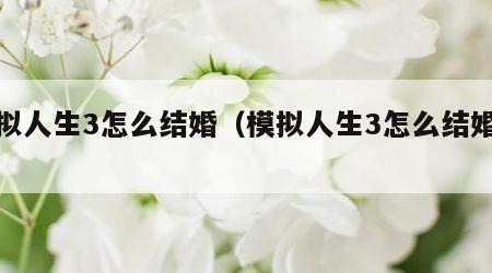 模拟人生3怎么结婚（模拟人生3怎么结婚啊）