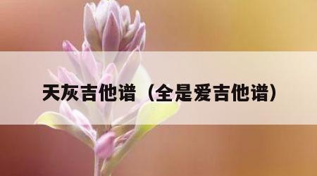 天灰吉他谱（全是爱吉他谱）