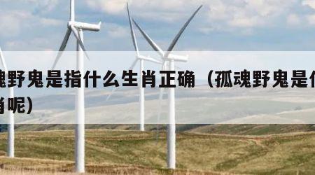 孤魂野鬼是指什么生肖正确（孤魂野鬼是什么生肖呢）