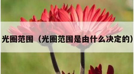 光圈范围（光圈范围是由什么决定的）