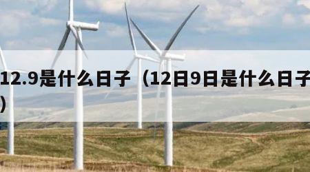 12.9是什么日子（12日9日是什么日子）