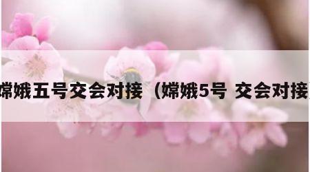 嫦娥五号交会对接（嫦娥5号 交会对接）