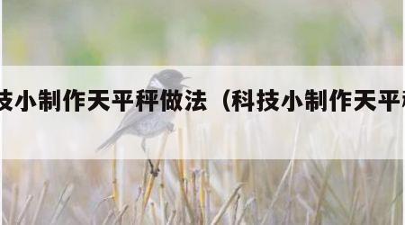 科技小制作天平秤做法（科技小制作天平秤diy）