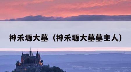 神禾塬大墓（神禾塬大墓墓主人）