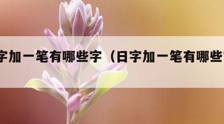 日字加一笔有哪些字（日字加一笔有哪些字?）