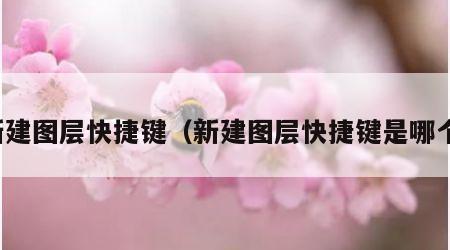 新建图层快捷键（新建图层快捷键是哪个）