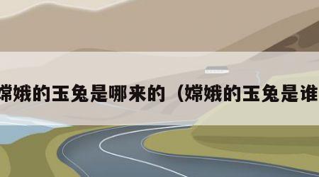 嫦娥的玉兔是哪来的（嫦娥的玉兔是谁）