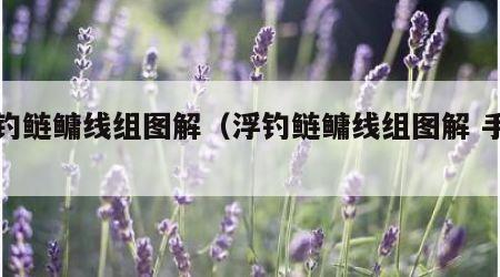 浮钓鲢鳙线组图解（浮钓鲢鳙线组图解 手竿）