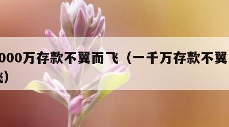 1000万存款不翼而飞（一千万存款不翼而飞）