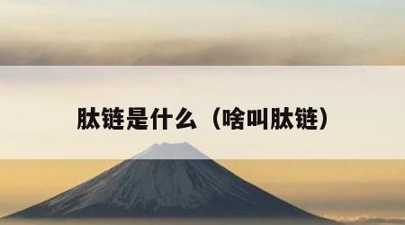 肽链是什么（啥叫肽链）