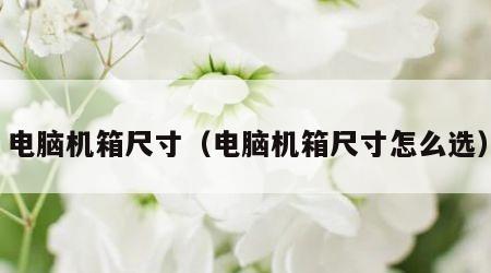 电脑机箱尺寸（电脑机箱尺寸怎么选）